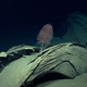 Illustration for article titled Thats Not a Shipwreck, Its a Volcano!